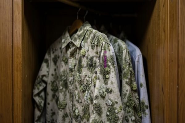 Mengapa Baju Berjamur di Lemari? Penyebab dan Cara Mengatasinya